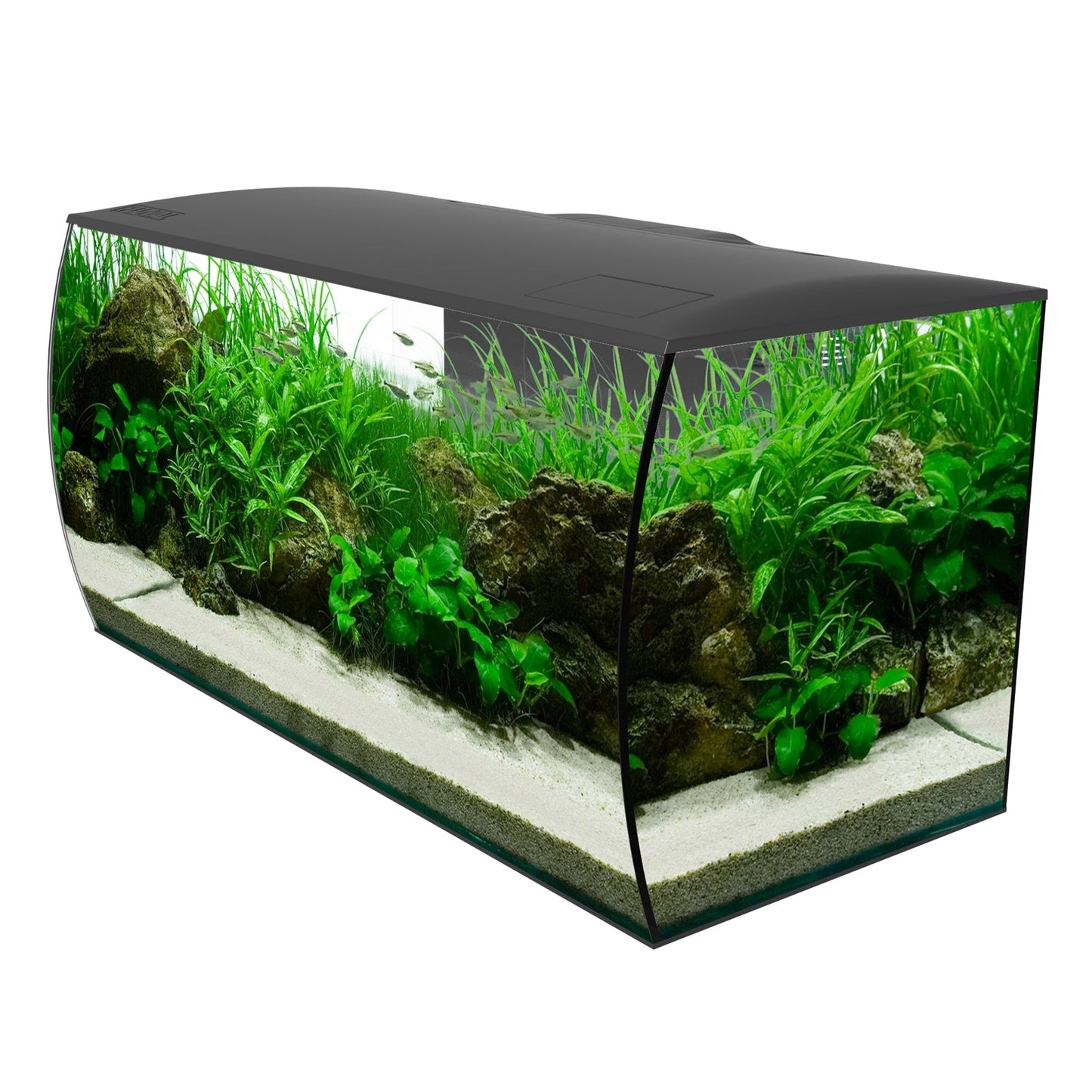 Fluval Flex 123L Aquarium Kit in Black