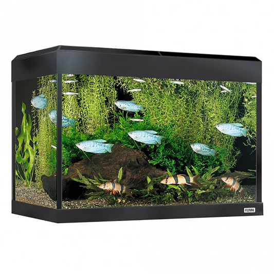 Fluval Roma 90 Bluetooth LED Aquarium Set 90L Oak
