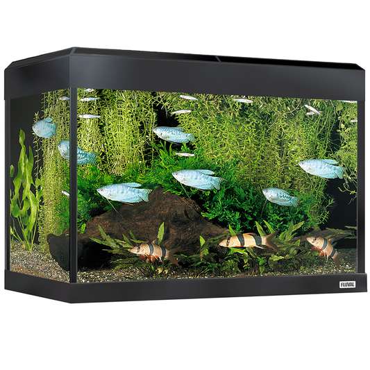 Fluval Roma 90 Bluetooth LED Aquarium Set 90L Gloss Black