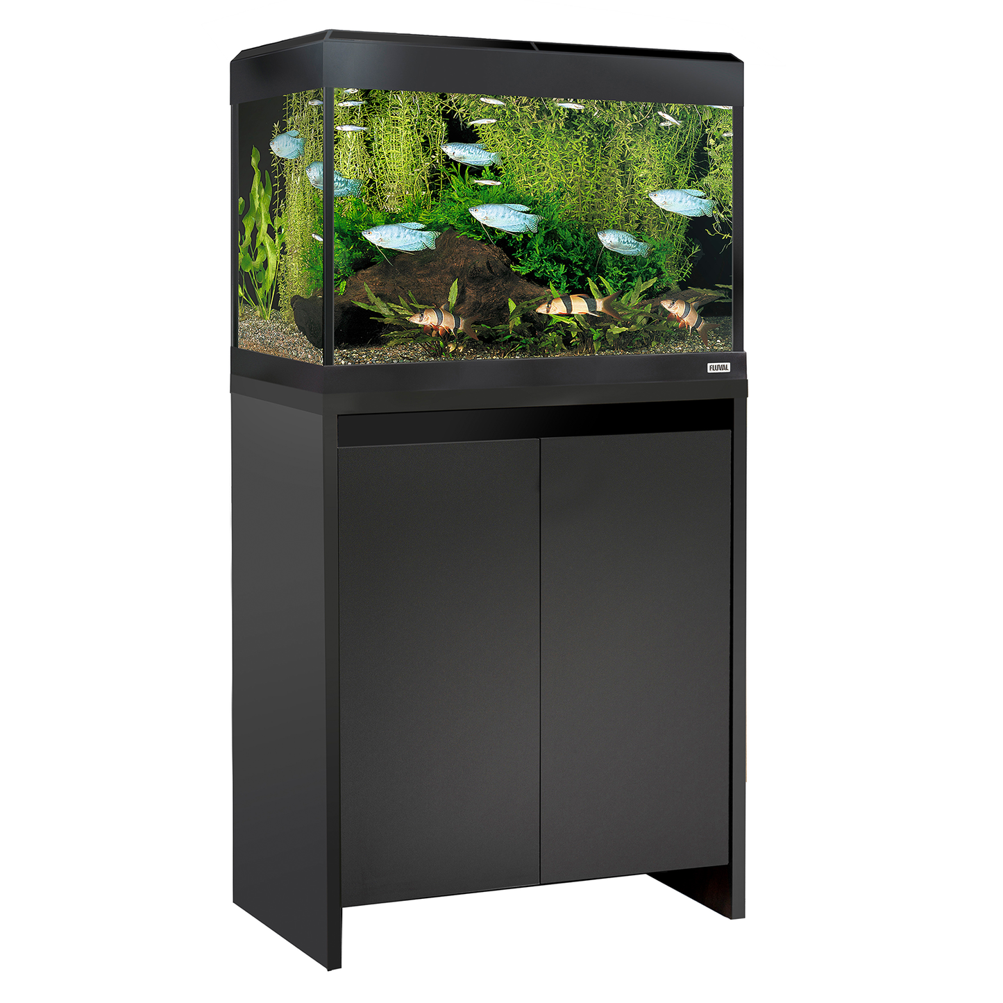 Fluval Roma 90 Bluetooth LED Aquarium Set 90L Gloss Black