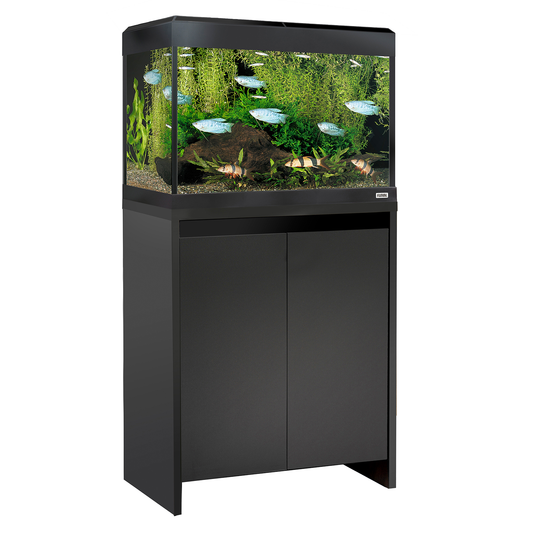 Fluval Roma 90 Bluetooth LED Aquarium Set 90L Gloss Black and Cabinet