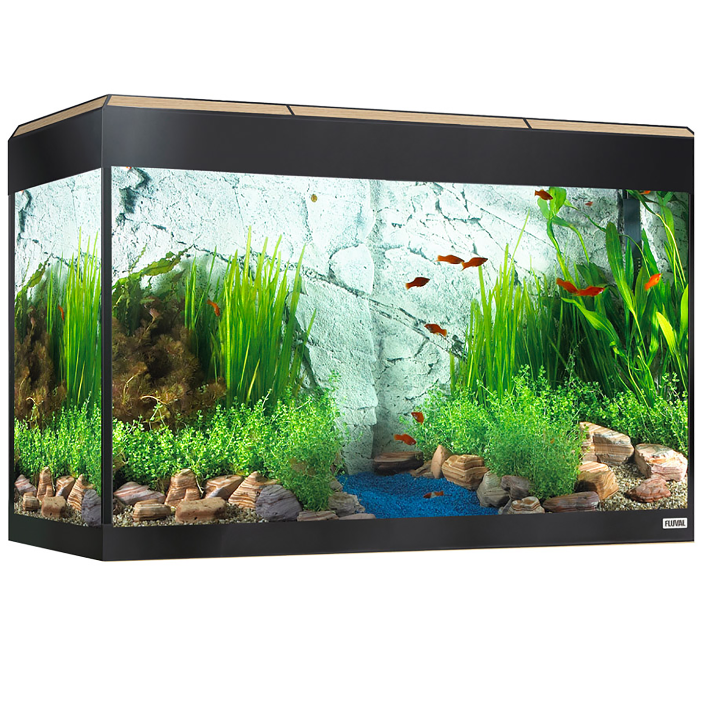 Fluval Roma 125 Akwarium LED Bluetooth 125L i szafka Dąb