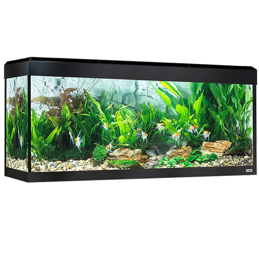 Fluval Roma 240 Bluetooth LED Aquarium 240L Black