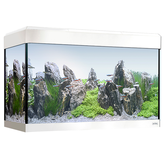 Fluval Roma 125 Bluetooth LED Aquarium 125L White