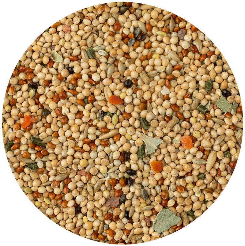 Vitakraft Budgie Menu Food (500g)