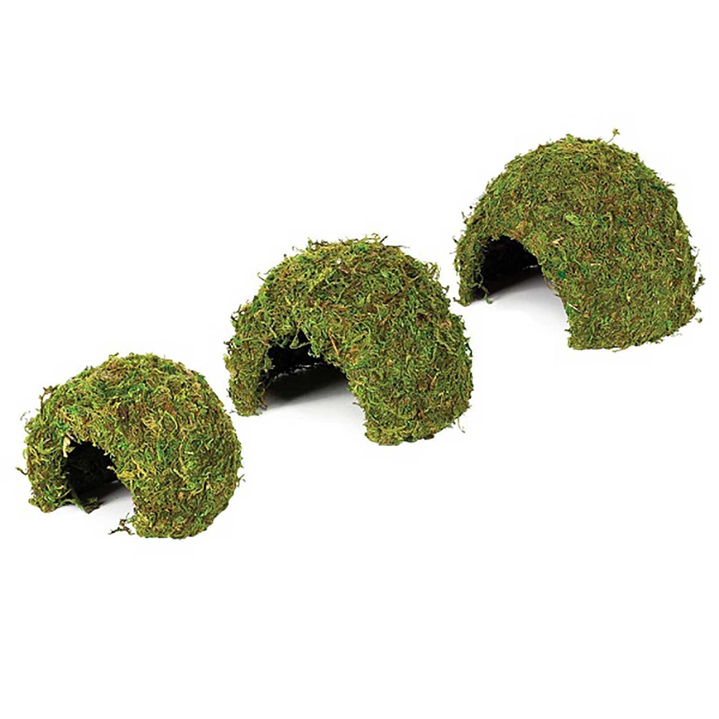 Jaskinia z mchu naturalnego w Komodo