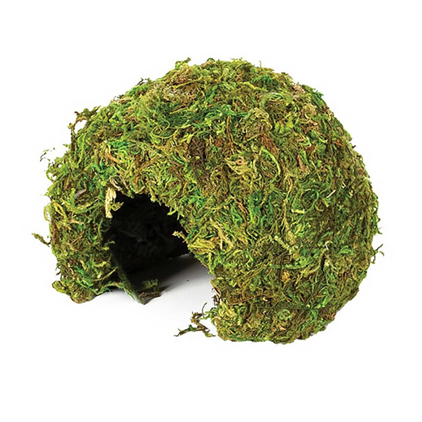 Jaskinia z mchu naturalnego w Komodo
