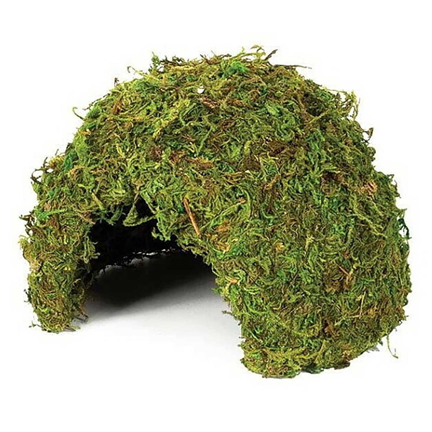 Jaskinia z mchu naturalnego w Komodo
