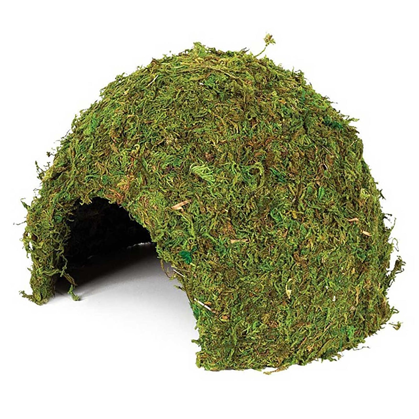 Jaskinia z mchu naturalnego w Komodo