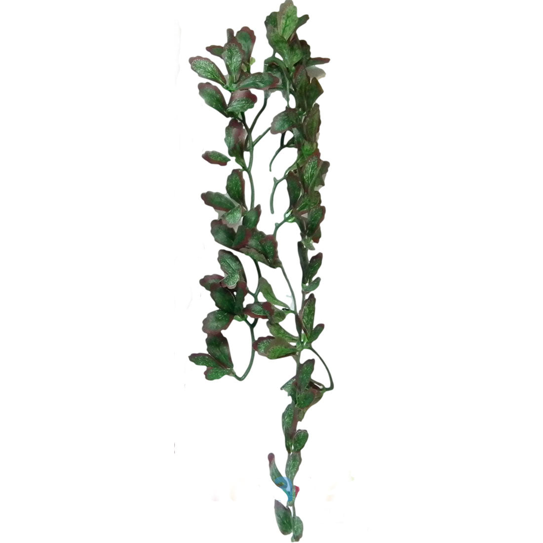 Vivarium Silk Plant Red Croton (Buy One Get One Free)