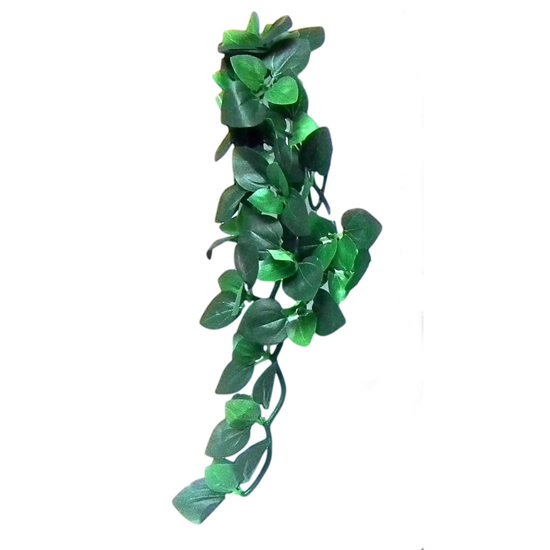 Vivarium Silk Plant Amapallo (Buy One Get One Free)