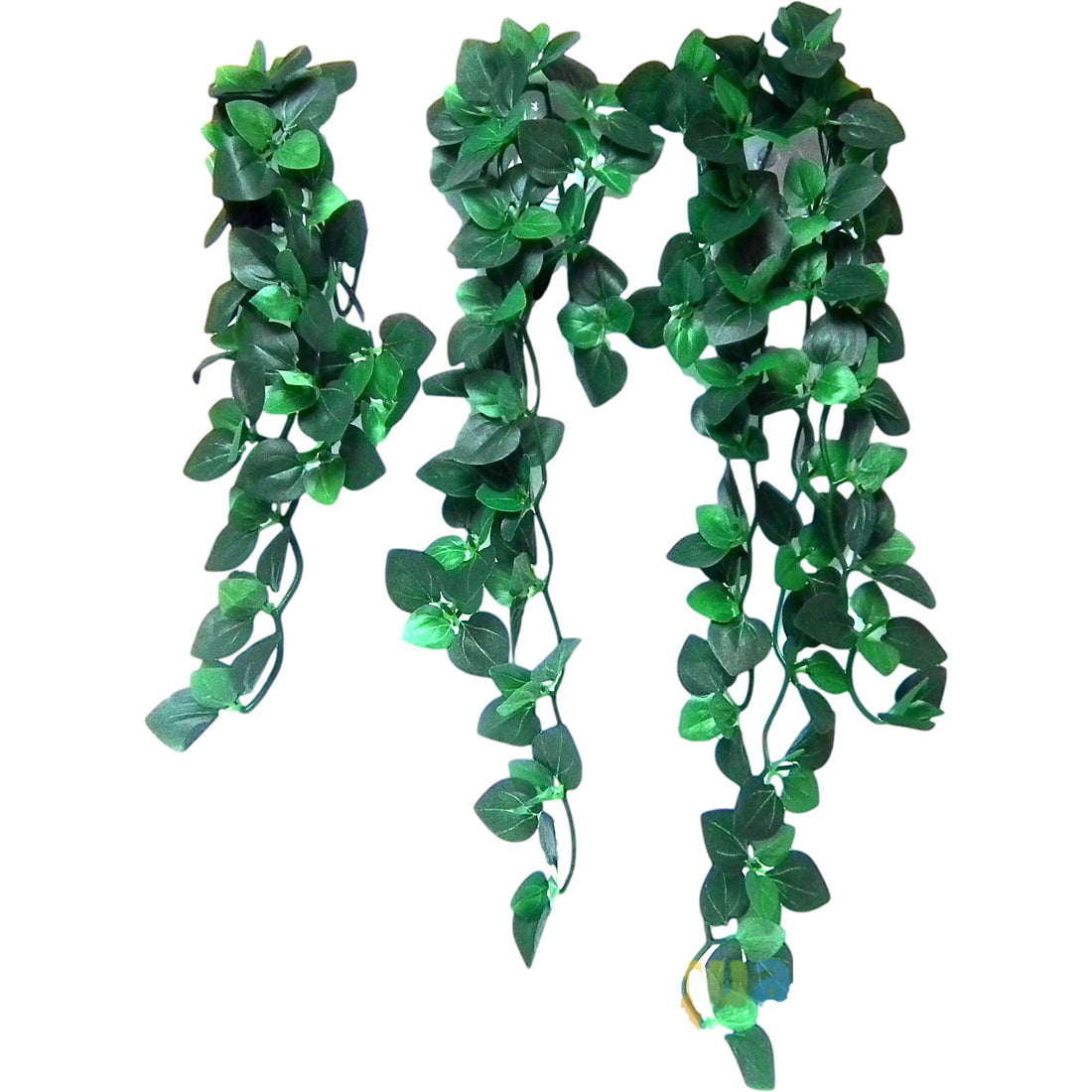 Vivarium Silk Plant Amapallo (Buy One Get One Free)