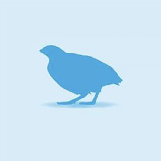 Frozen Quail - Click N Collect