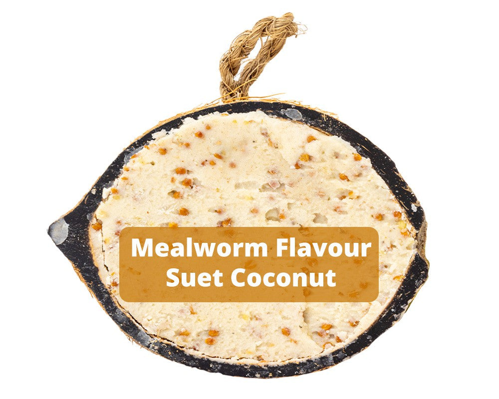 Karmniki Suet To Go Half Coconut z mącznikami