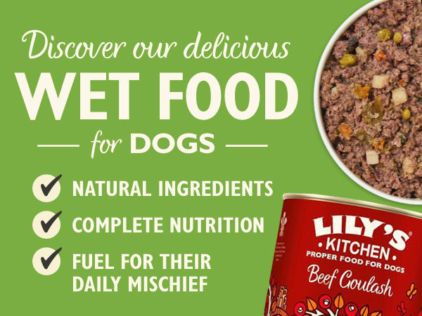 Lily's Kitchen Dog Beef Goulash, 400g x 6 Tins