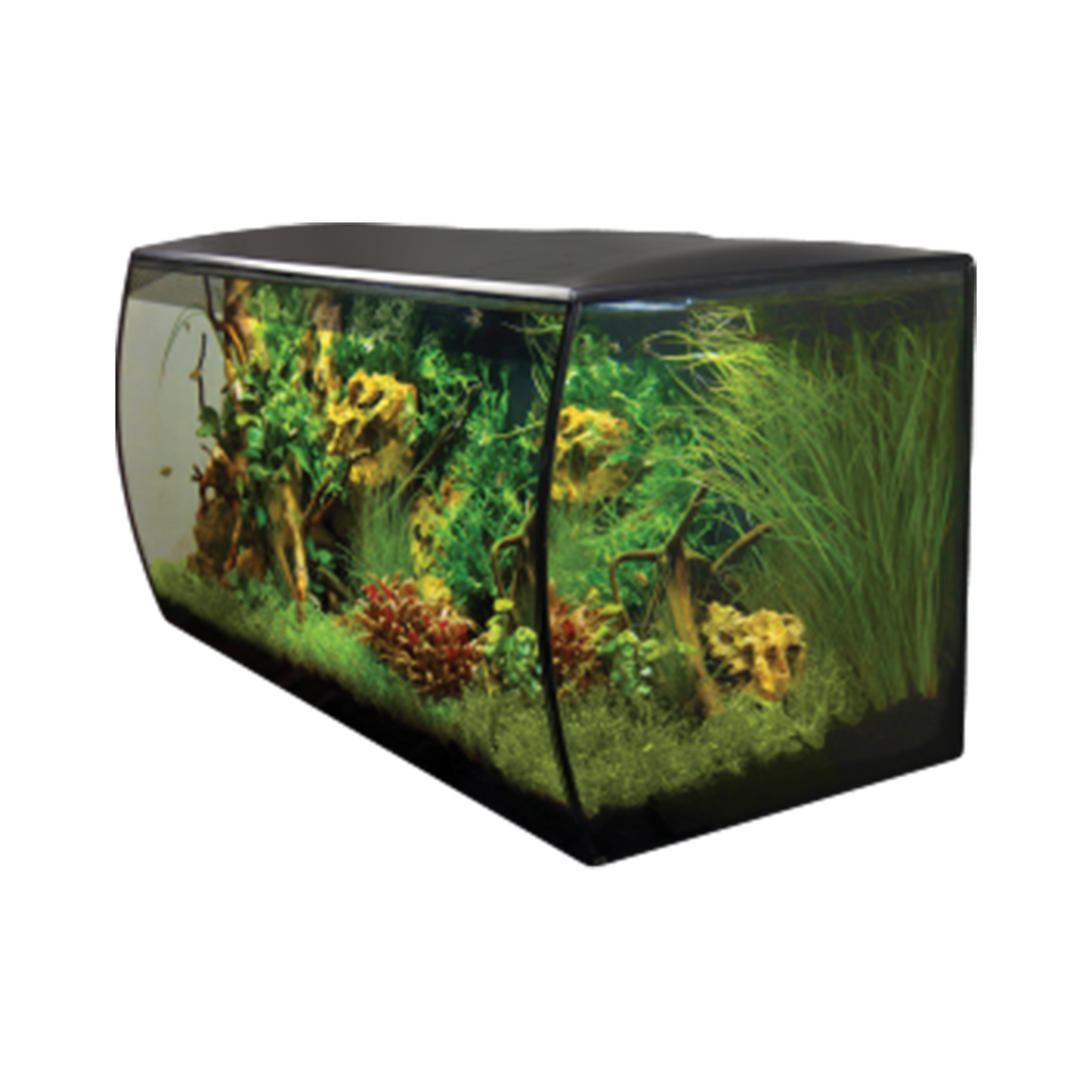 Fluval 123L Aquarium Black and Cabinet