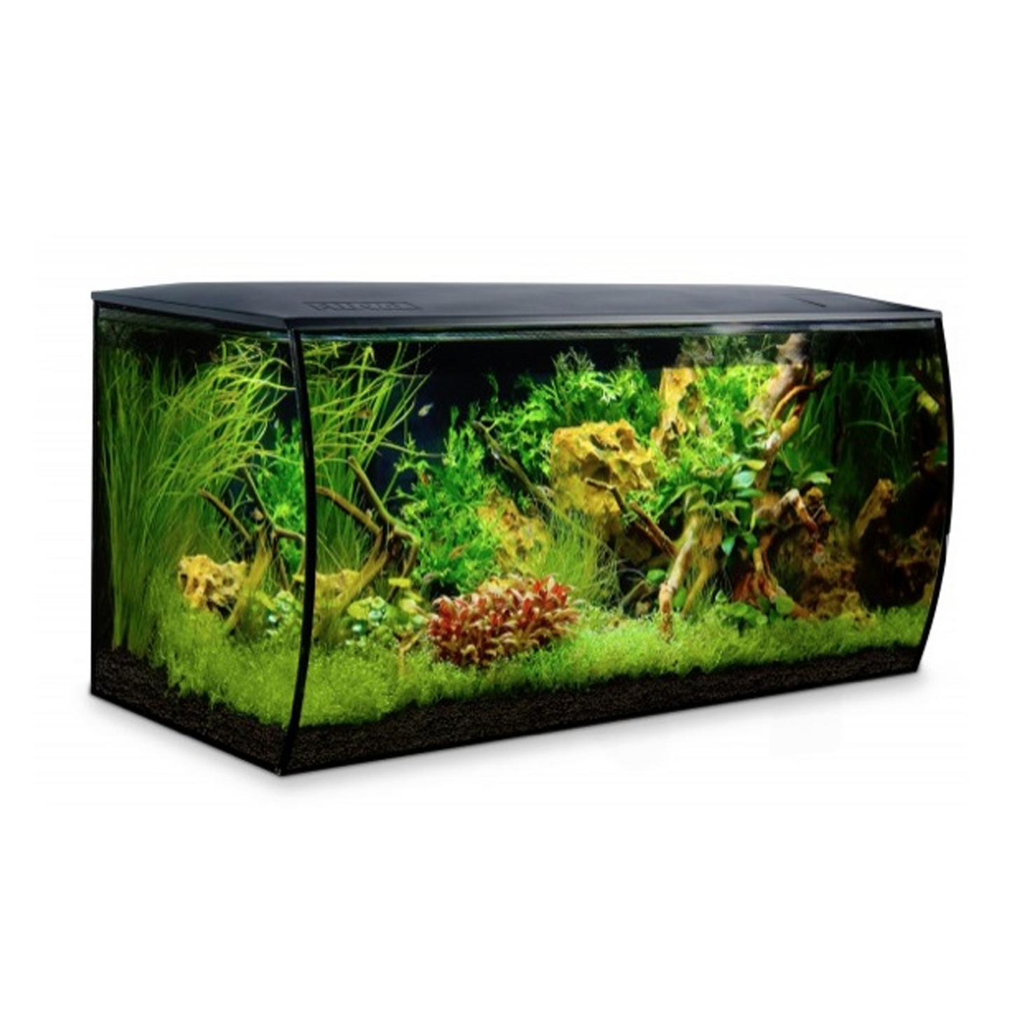 Fluval 123L Aquarium Black and Cabinet
