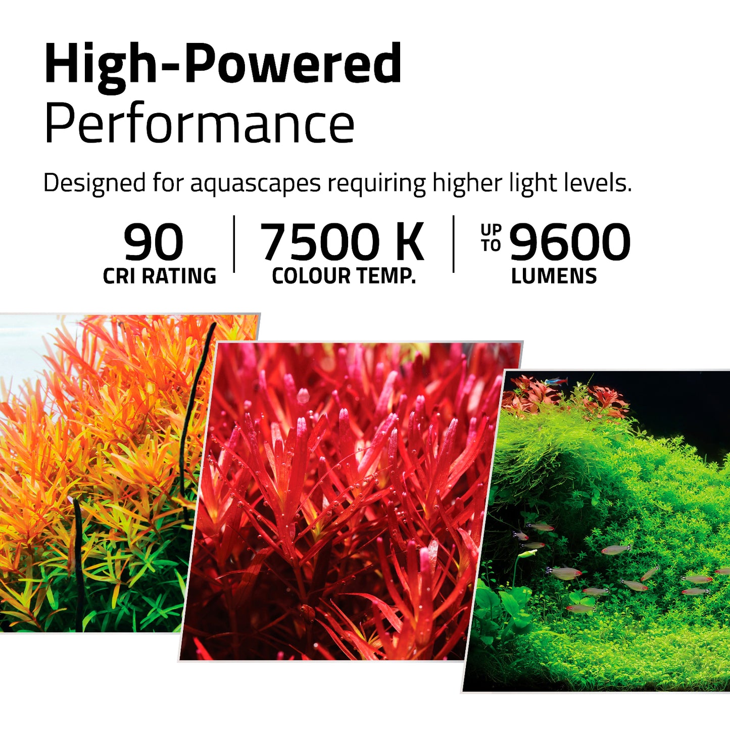 Fluval Plant Pro 150 120W, 46.25-60.5″ / 117-154 cm -Ultra Wide