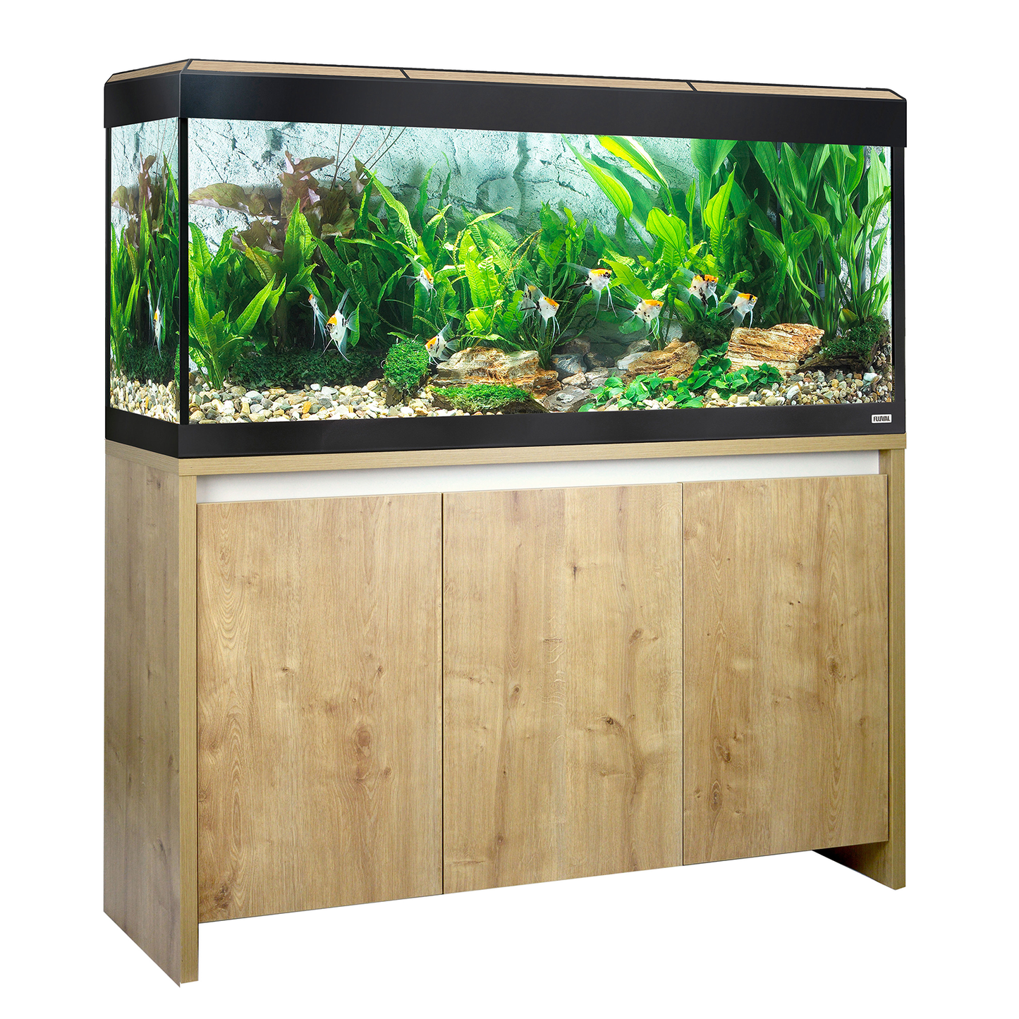 Fluval Roma 240 Bluetooth LED Akwarium 240L Dąb