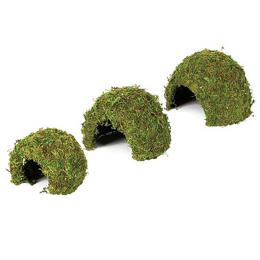Jaskinia z mchu naturalnego w Komodo