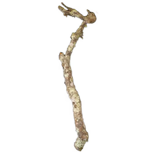 HabiStat Cork Branch, Approx. 1 metre 