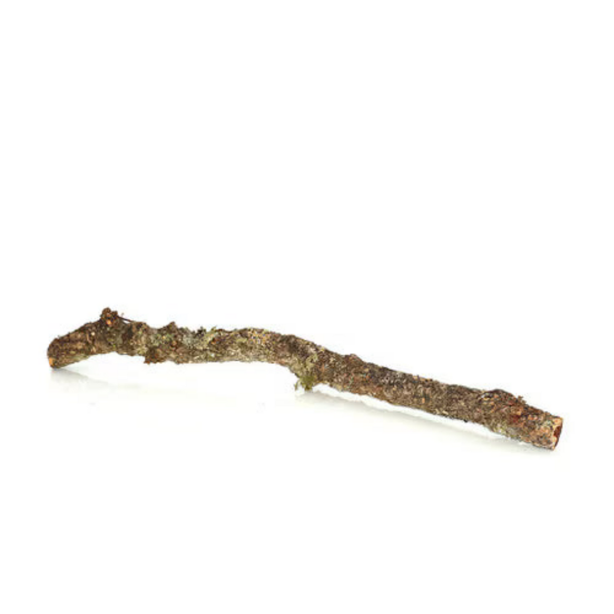 HabiStat Cork Branch, Approx. 1 metre 