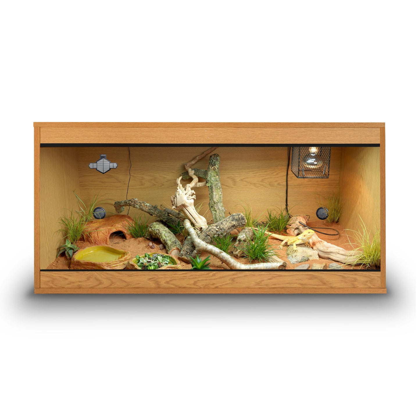 Habistat Bearded Dragon Kit Accessories in Situ