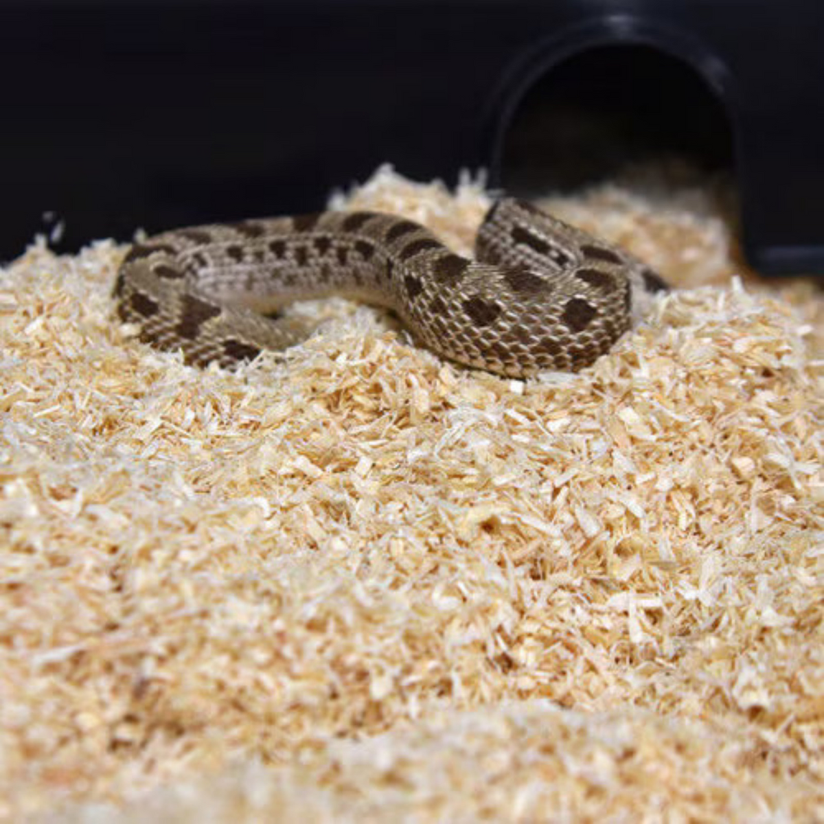 HabiStat Lignocel Substrate 12.5kg
