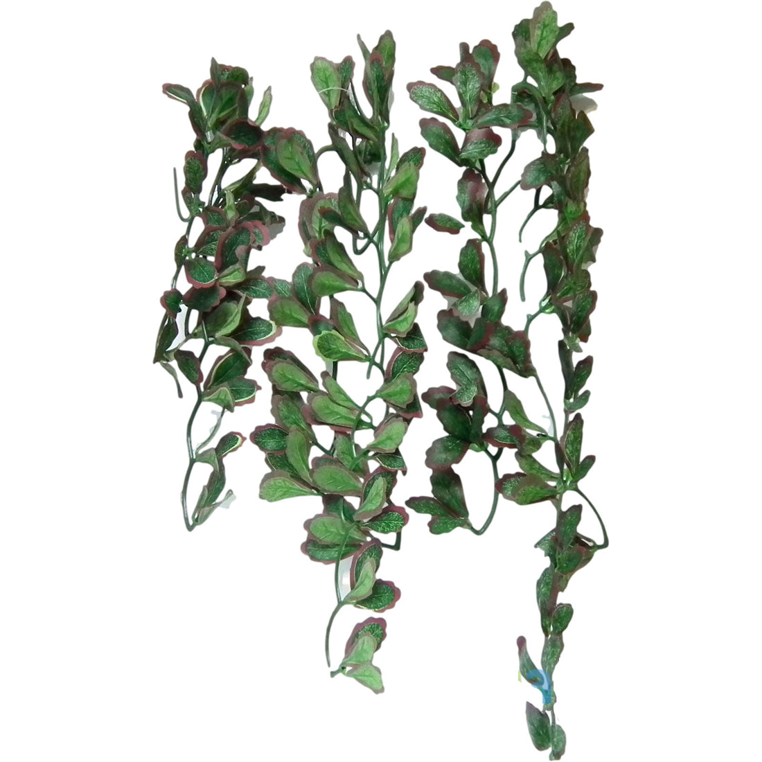 Vivarium Silk Plant Red Croton (Buy One Get One Free)