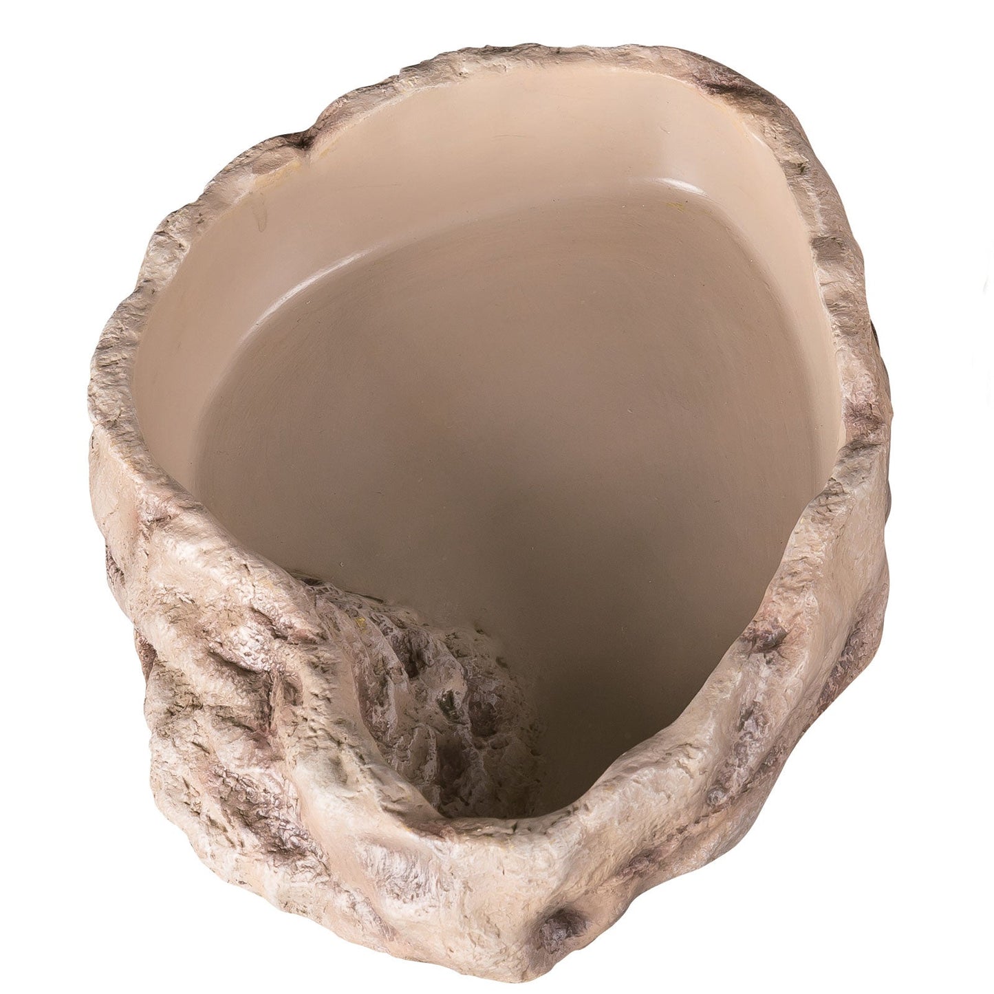 Reptile Water Dishes